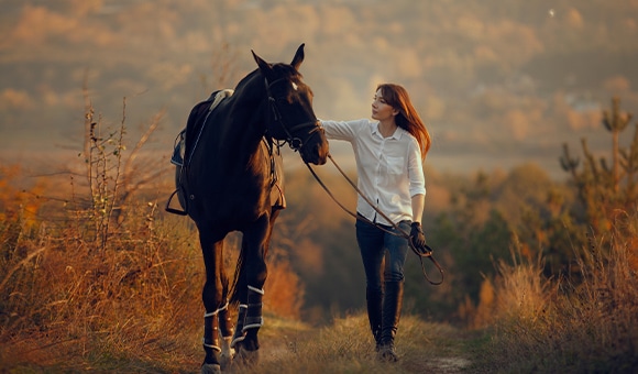 馬と人間の写真