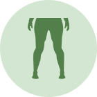 股関節のイラスト